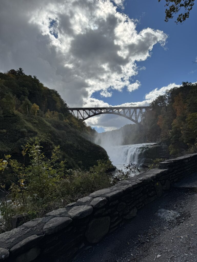 img 9244